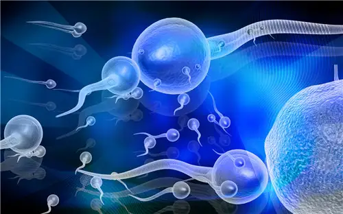 測精子存活率怎麼測
