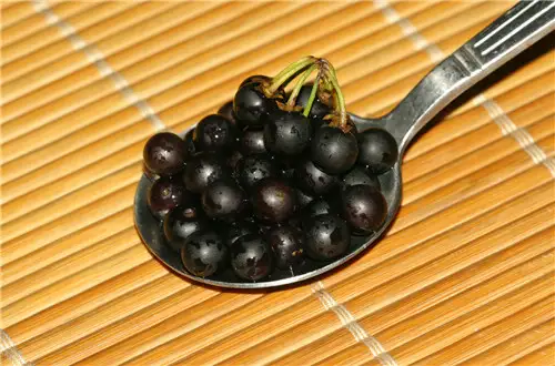 急性龍葵素中毒怎麼辦